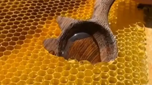 با اسپری عسل عفونت گلو را نابود کنید