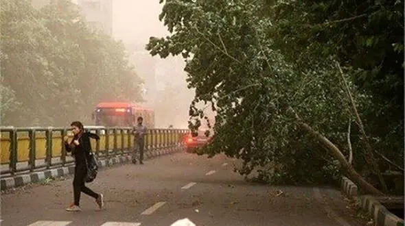 هشدار طوفان لحظه ای در تهران صادر شد / مواظب سقوط اشیا باشید