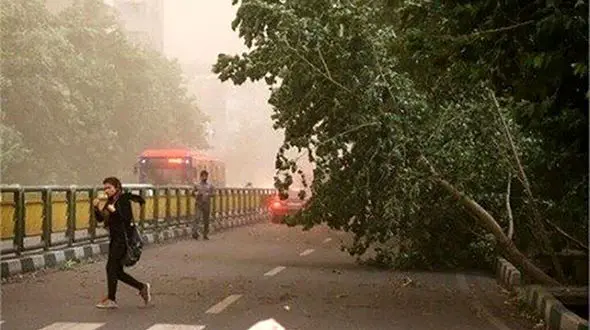 هواشناسی تهران: از هفته بعد منتظر وزش باد شدید در پایتخت باشید