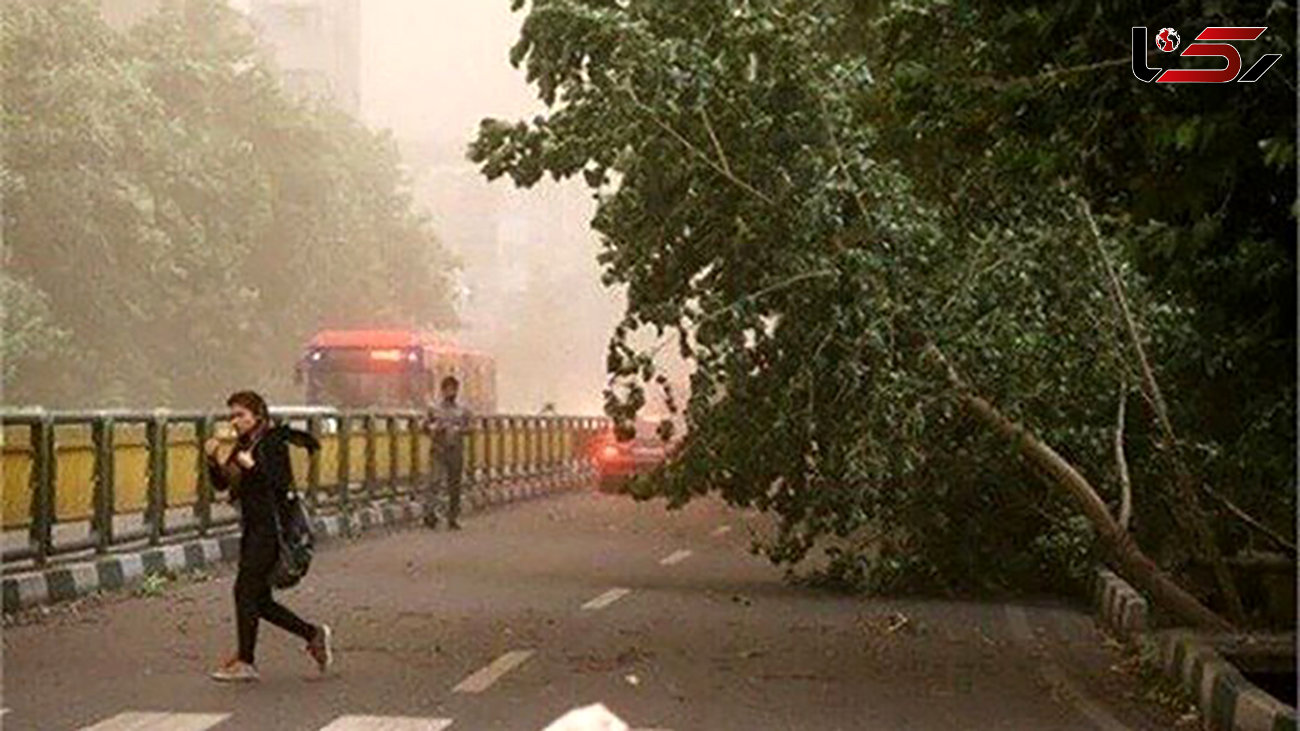 هشدار طوفان لحظه ای در تهران صادر شد / مواظب سقوط اشیا باشید