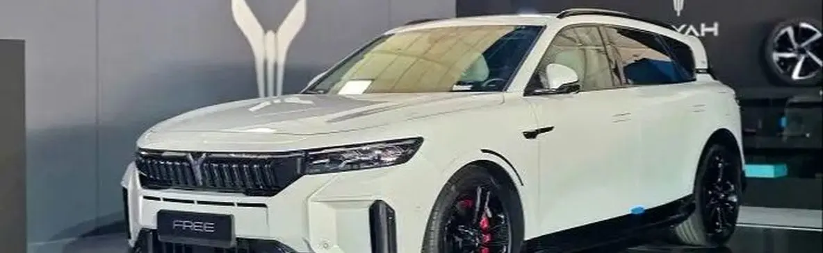 بهترین رقبای وویا فری 2025 در ایران را بشناسید