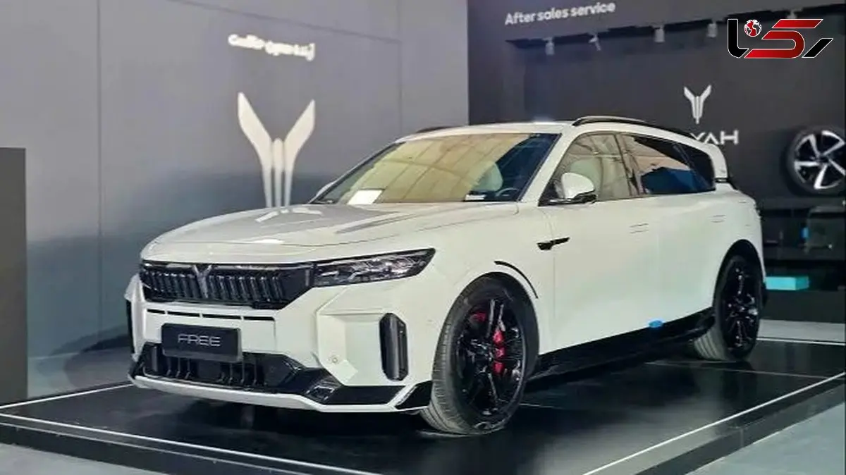 بهترین رقبای وویا فری 2025 در ایران را بشناسید