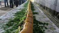 ثبت بزرگترین ساندویچ ماهی ایران در اهواز