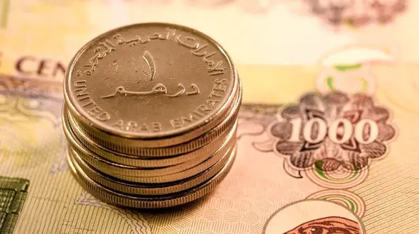 قیمت درهم امارات به تومان، امروز جمعه 29 تیر 1403 