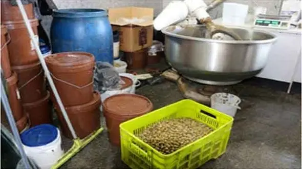 پلمپ واحد غیرمجاز عرضه زیتون پرورده درآمل