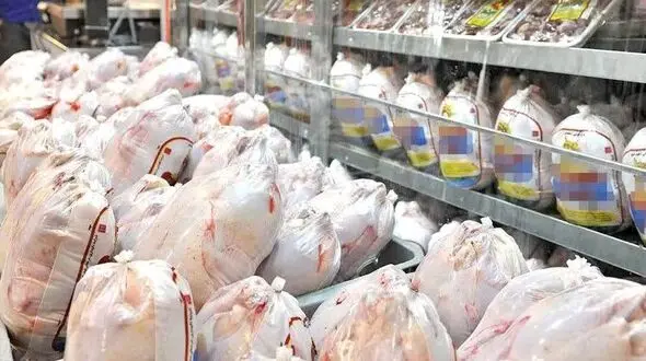 صادرات ۲ میلیون و ۷۶۴ هزار کیلو مرغ گرم و منجمد لرستان به استانهای همجوار 