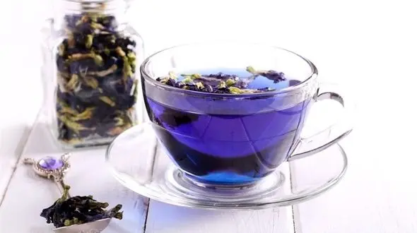 با آنتی بیوتیکی گیاهی به جنگ سرماخوردگی پاییزی بروید