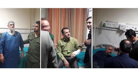 حمله با تبر و داس به محیط بانان بندرانزلی+ عکس