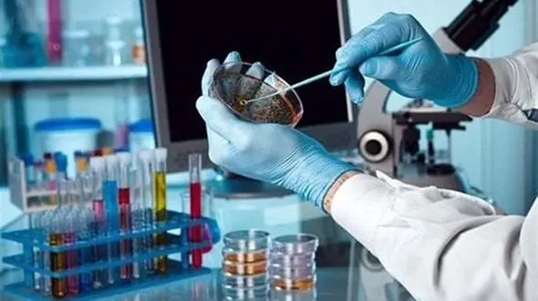 یزد قطب درمان سرطان است 