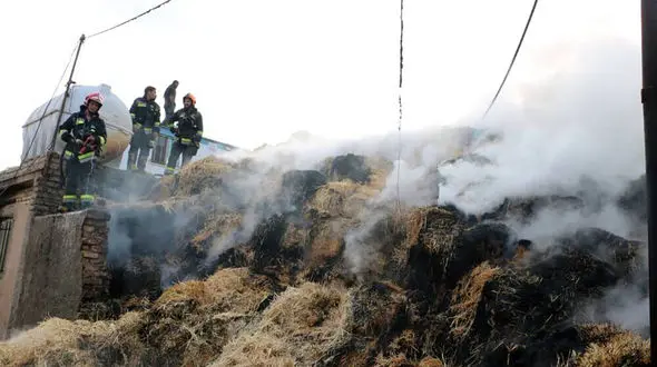 آتش سوزی گسترده در یک دامداری / در پاکدشت ورامین رخ داد