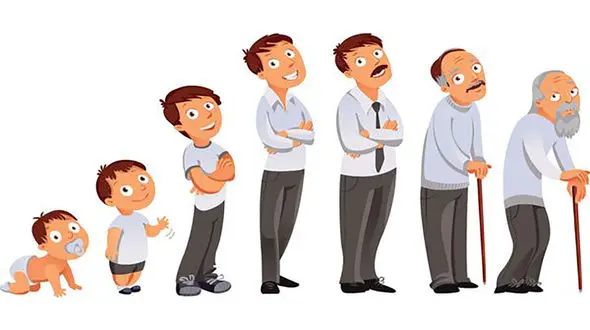 رده های سنی به زبان انگلیسی + فیلم