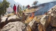 جنگل‌های باشت پس از چهار روز در آغوش آتش آرام گرفت