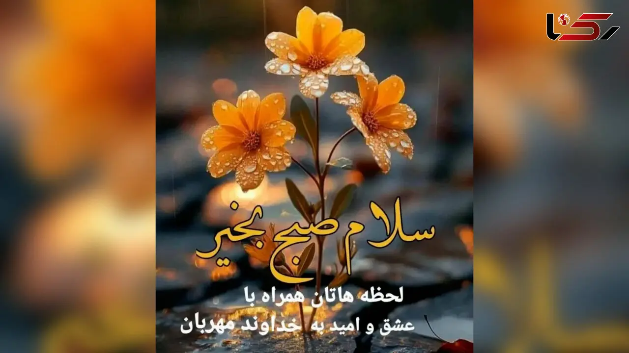 جملات سلام صبح بخیر + فیلم