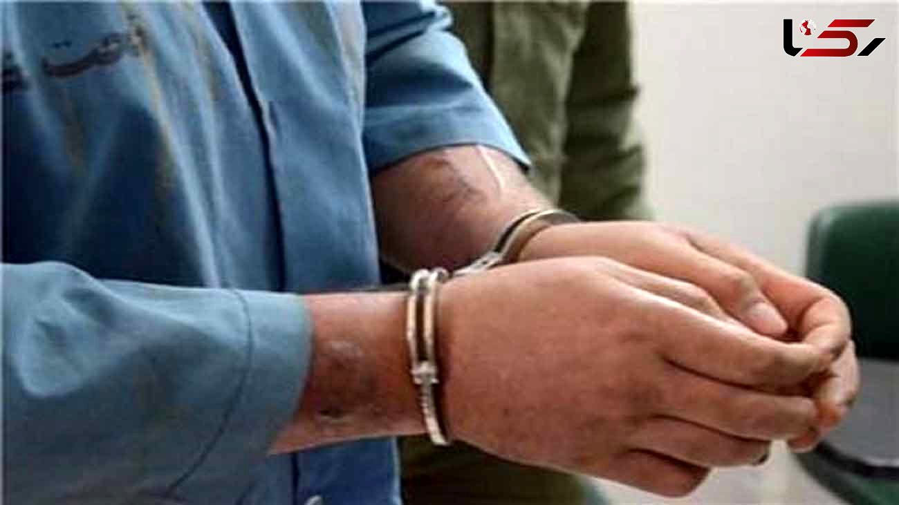 دستگیری سارق با 22 فقره سرقت در طبس 