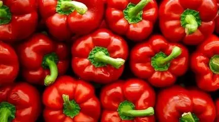 فلفل دلمه‌ ای ماده یا نر؟ کدام برای پخت‌ و پز بهتر است؟