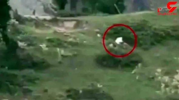 لحظه خارج کردن اجساد نظامیان پاکستانی از خاک هندوستان + فیلم 