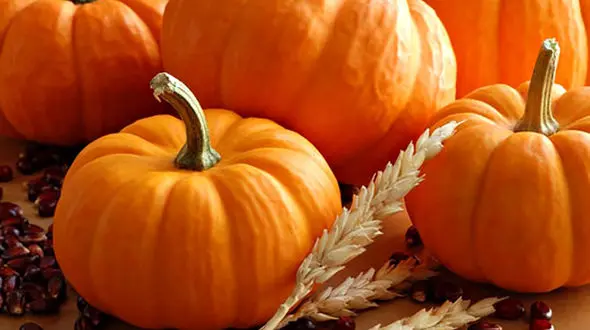 تناسب اندام با میوه های پاییزی 