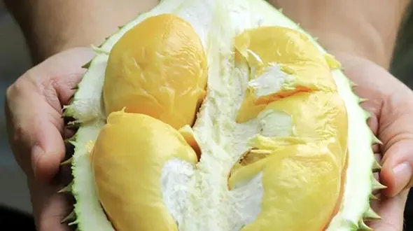 بوی بد هواپیما همه مسافران را به وحشت انداخت / فرود اضطراری 