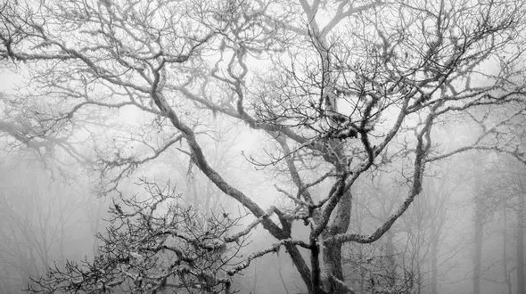 سرما ادامه دارد...

