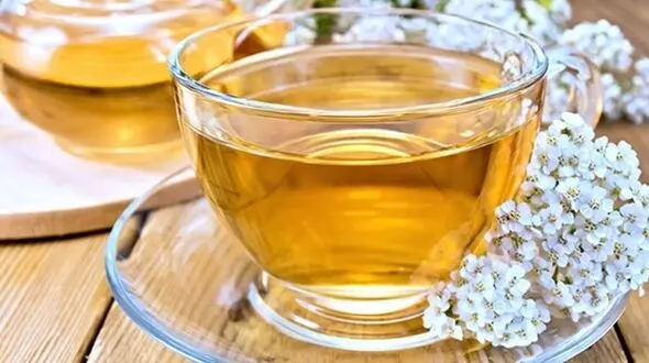 روزانه چند فنجان چای بنوشیم؟