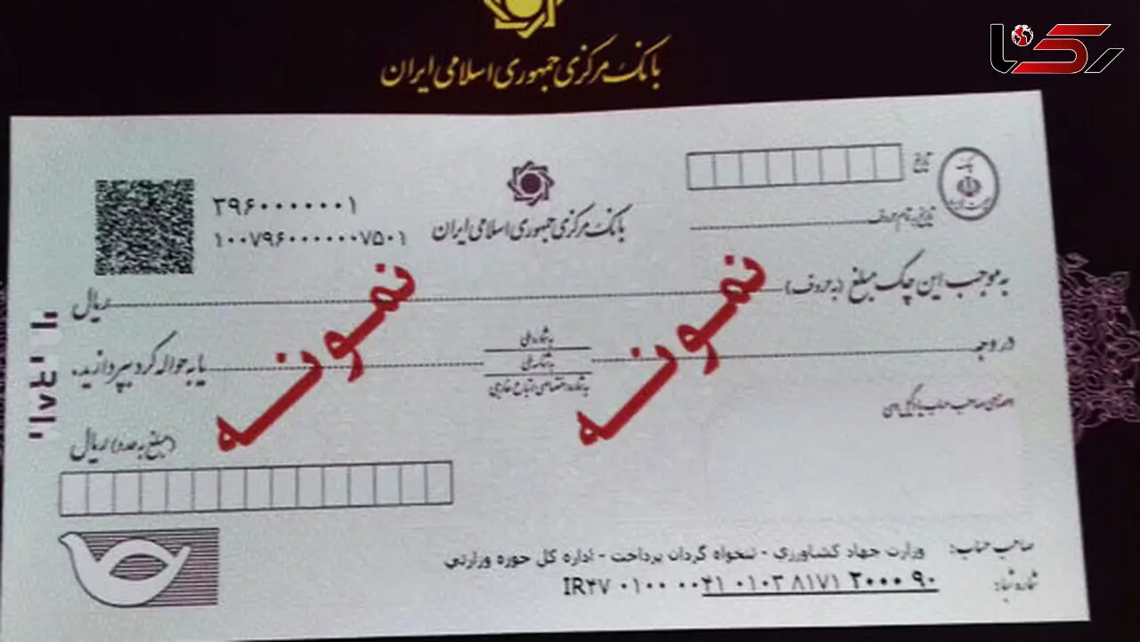 چک صیاد از دور زدن ضوابط جلوگیری می‌کند