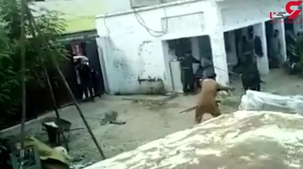 درگیری شدید گاو وحشی با صاحبان گاوداری + فیلم