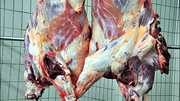 از کشتار غیرمجاز دام در ایام عید قربان ممانعت می‌شود