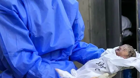 رهاسازی نوزاد تازه‌متولد شده در قائمشهر