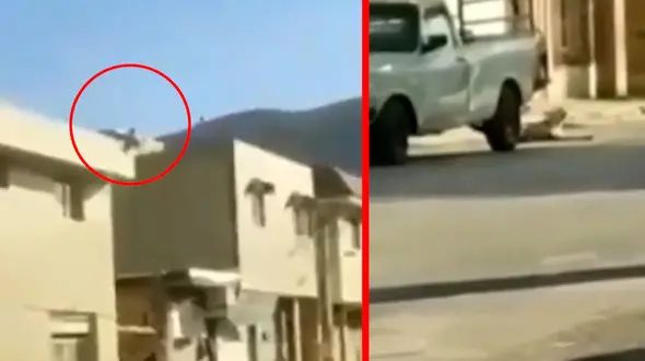 فیلم وحشی ترین سگ آزاری در ایران / این مرد بی رحم کیست؟