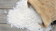 ماکارونی جایگزین برنج شد / مصرف برنج کاهش یافت