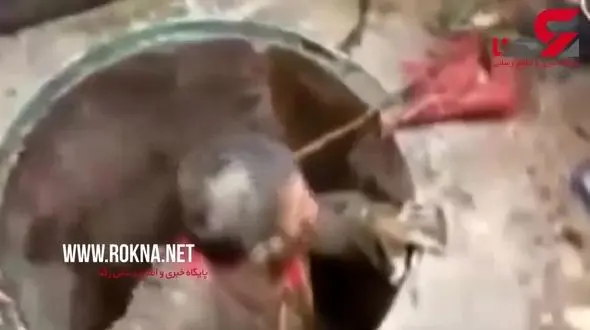 دسته گُلی که برای این زن دردسرساز شد! +فیلم 