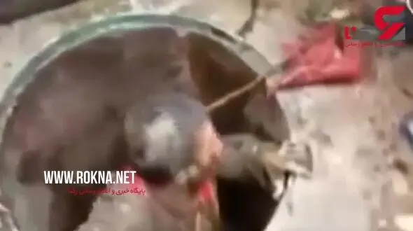 دسته گُلی که برای این زن دردسرساز شد! +فیلم 