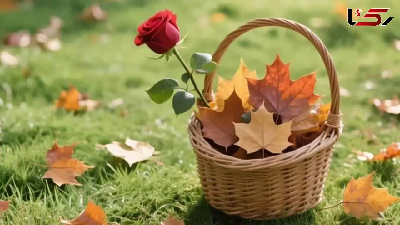 فال ابجد امروز 17 آذر