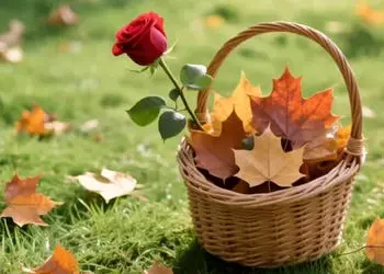 فال ابجد امروز 17 آذر