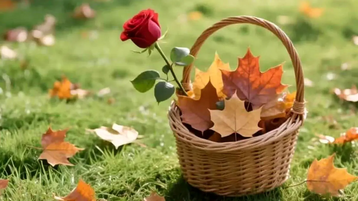 فال ابجد امروز 17 آذر