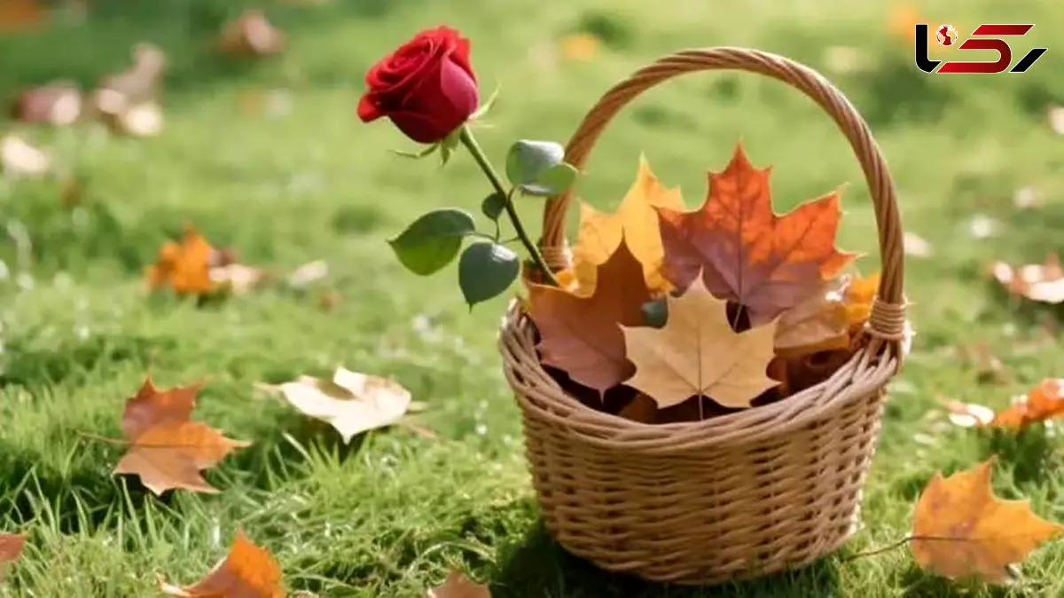 فال ابجد امروز 17 آذر