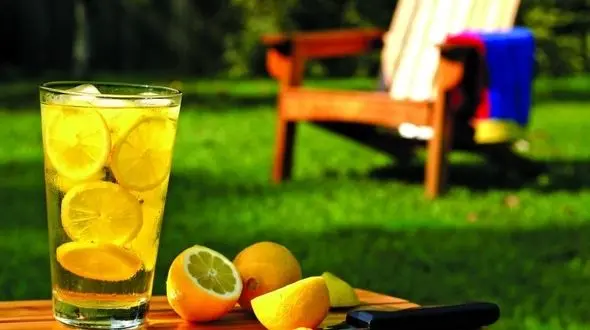 مضرات مصرف بیش از حد یک چاشنی ترش مزه