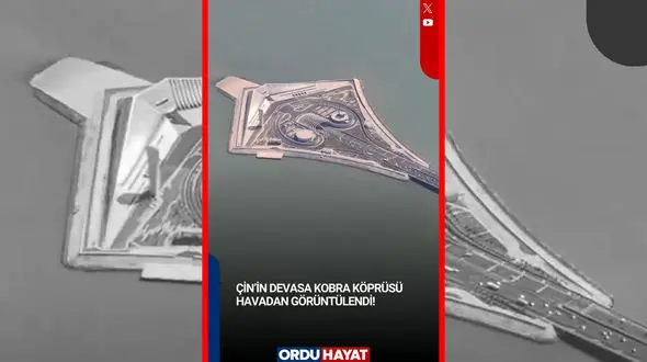 فیلم شاهکار مهندسی چین با نمای مار کبرا