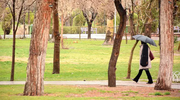 بله های عروس خانم ها برای پوادار شدن داماد شوم/این مرد دختران را شیفته خود می کرد