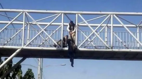 ببینید / عملیات نجات راننده کامیون آویزان شده از پل هوایی