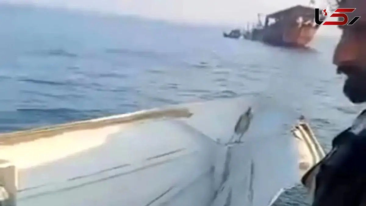 مرگ و ناپدید شدن 2 برادر صیاد در یک حادثه تلخ