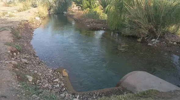 چشمه گلابی پسربچه 5 ساله دارابی را بلعید