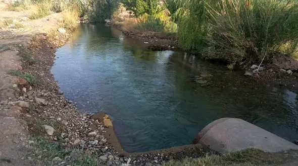 چشمه گلابی پسربچه 5 ساله دارابی را بلعید