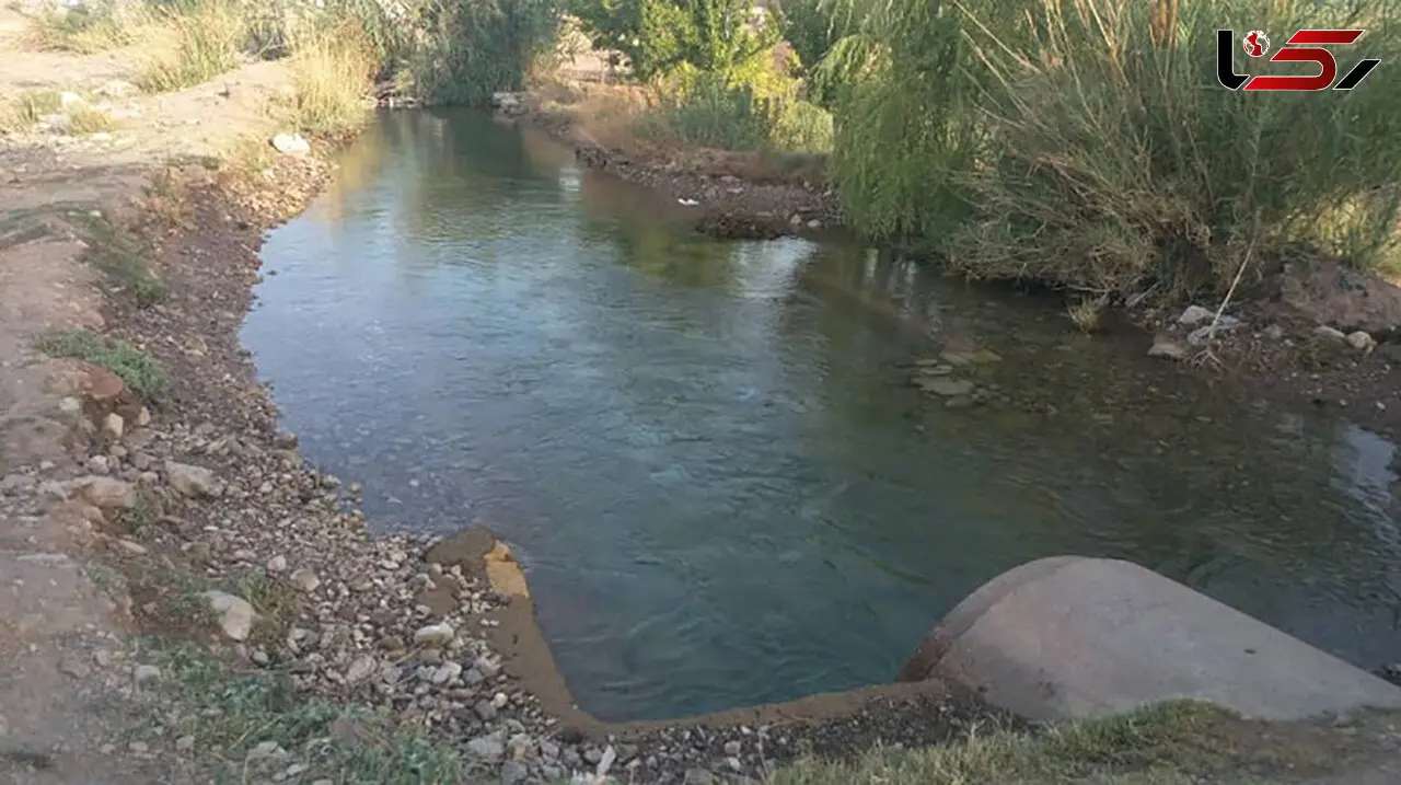 چشمه گلابی پسربچه 5 ساله دارابی را بلعید