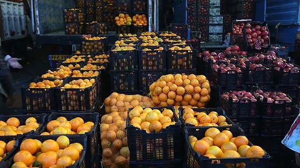 صادرات سیب و پرتقال آزاد شد + سند