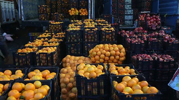 صادرات سیب و پرتقال آزاد شد + سند
