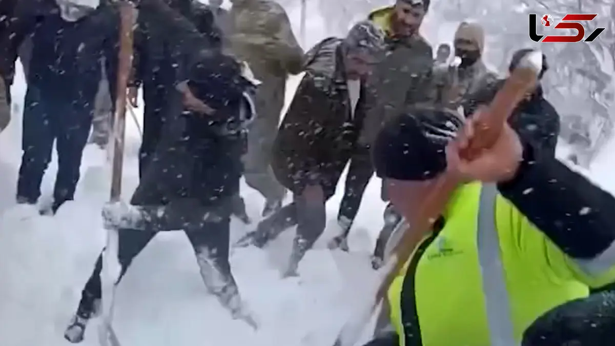 فیلم / مرگ زن در پی وقوع بهمن در ترکیه