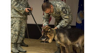 مراسم بازنشستگی، برای یک سگ بمب یاب! +عکس