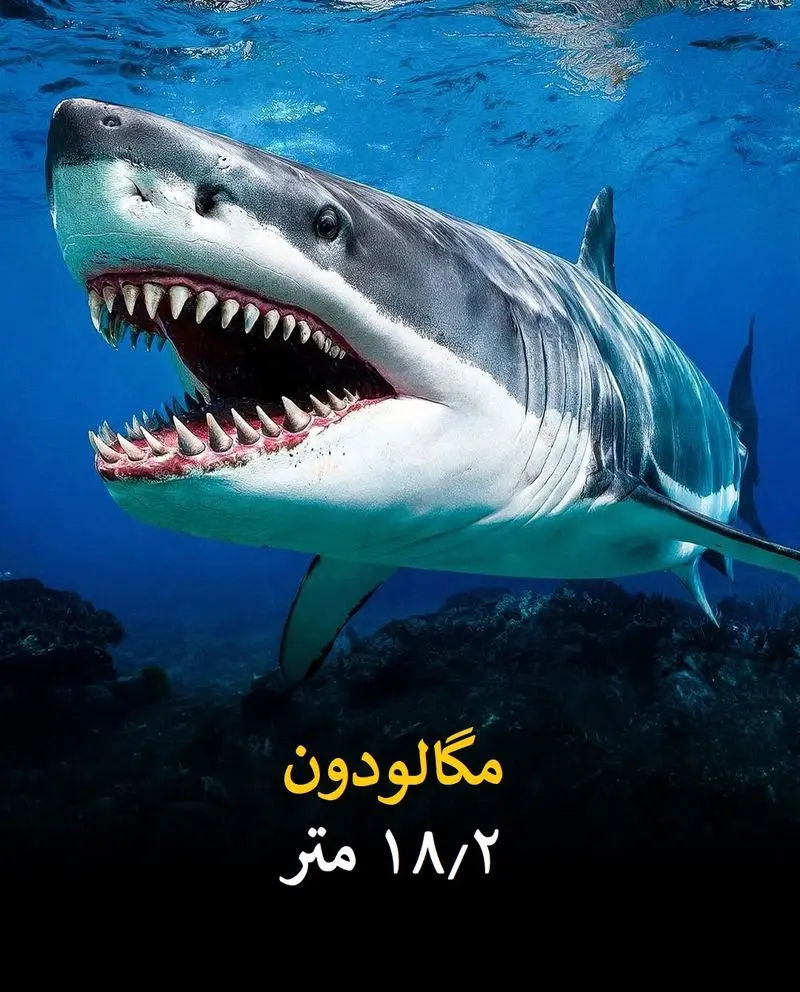 طبیعت و حیات عظیم زمین