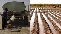 خطر تنش آبی در 2 ماه آینده / وزیر کشاورزی به وعده تغییر الگوی کشت عمل نکرد / احتمال کمبود محصولات اساسی کشاورزی در سال آینده 